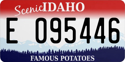 ID license plate E095446
