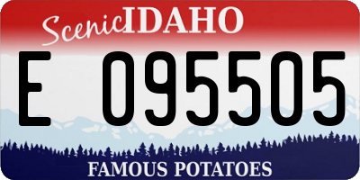 ID license plate E095505
