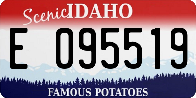 ID license plate E095519