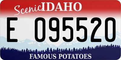ID license plate E095520