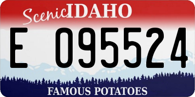 ID license plate E095524