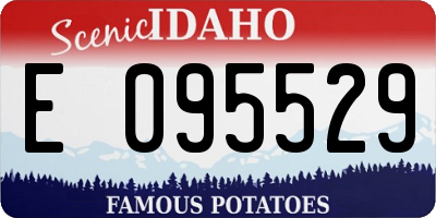 ID license plate E095529