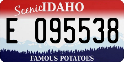 ID license plate E095538