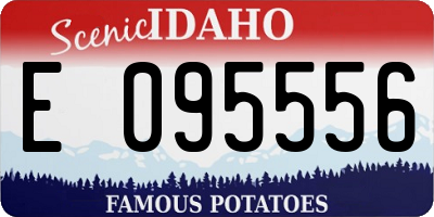 ID license plate E095556
