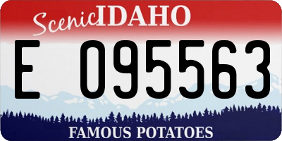 ID license plate E095563