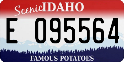 ID license plate E095564
