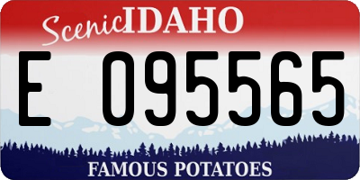 ID license plate E095565
