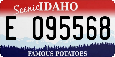 ID license plate E095568