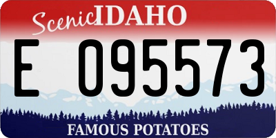 ID license plate E095573