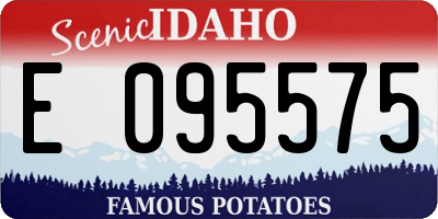 ID license plate E095575
