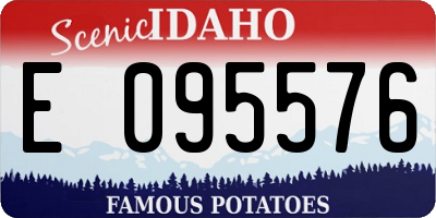 ID license plate E095576