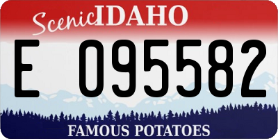 ID license plate E095582