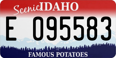 ID license plate E095583