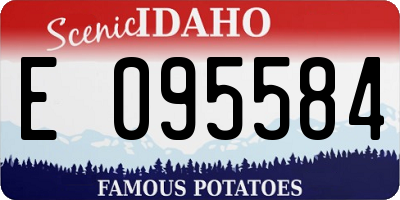 ID license plate E095584