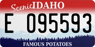 ID license plate E095593