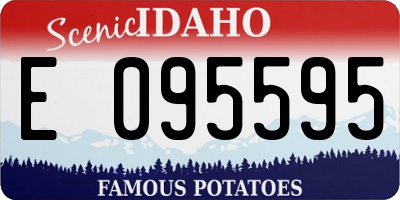 ID license plate E095595