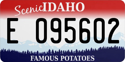 ID license plate E095602