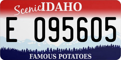 ID license plate E095605