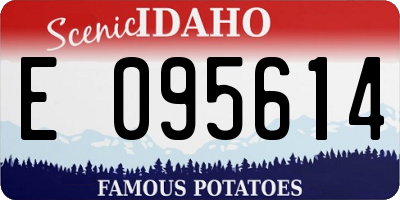 ID license plate E095614