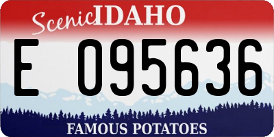 ID license plate E095636