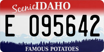 ID license plate E095642