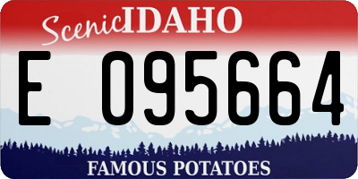 ID license plate E095664