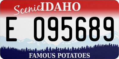 ID license plate E095689