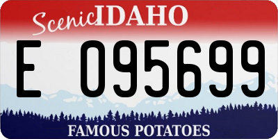 ID license plate E095699