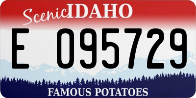 ID license plate E095729
