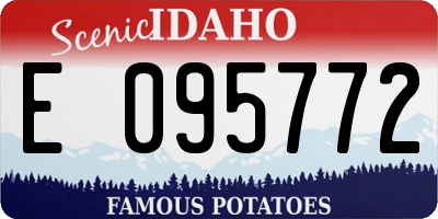 ID license plate E095772