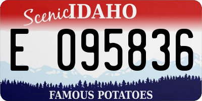 ID license plate E095836