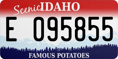 ID license plate E095855