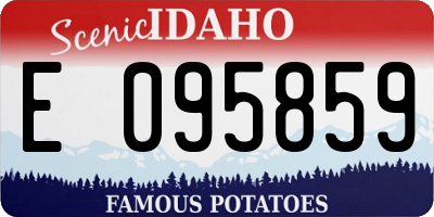 ID license plate E095859