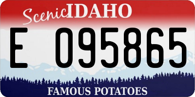 ID license plate E095865