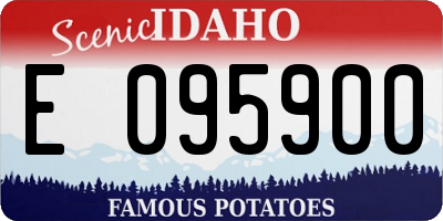 ID license plate E095900