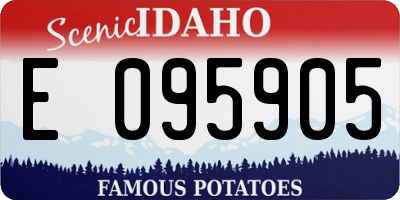 ID license plate E095905