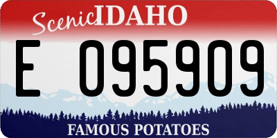 ID license plate E095909