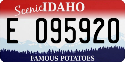 ID license plate E095920
