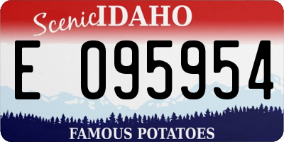 ID license plate E095954