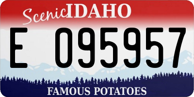ID license plate E095957