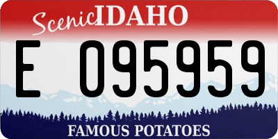 ID license plate E095959