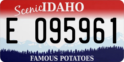 ID license plate E095961