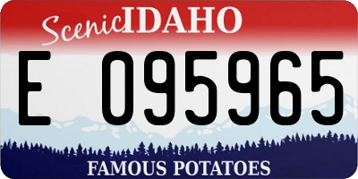 ID license plate E095965