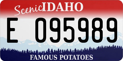 ID license plate E095989