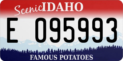 ID license plate E095993