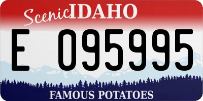 ID license plate E095995
