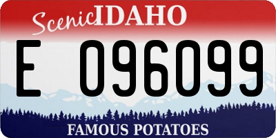 ID license plate E096099