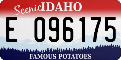 ID license plate E096175