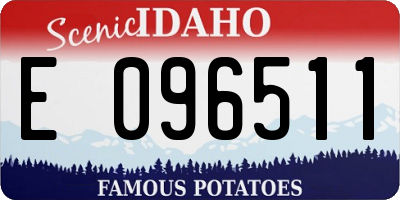 ID license plate E096511