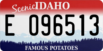 ID license plate E096513